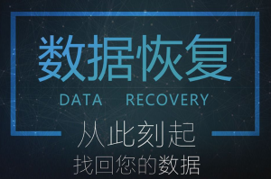 硬盘数据恢复工具商业授权终身版 硬盘数据恢复工具商业授权终身版