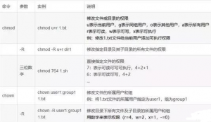 Linux最常用命令与目录 Linux最常用命令与目录